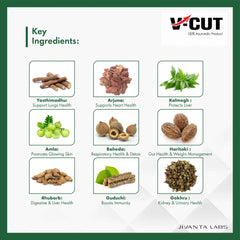 V-Cut Body Detox kit