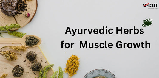 Ayurvedic Herbs for Muscle Growth