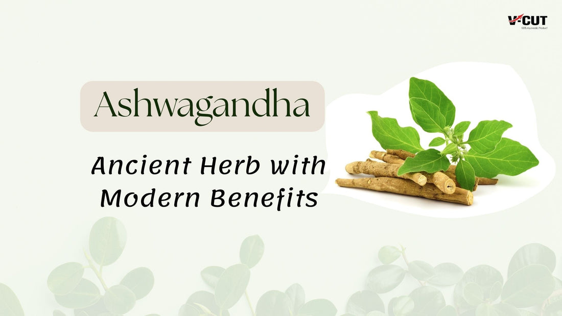 Ashwagandha : Ancient Herb with Modern Benefits